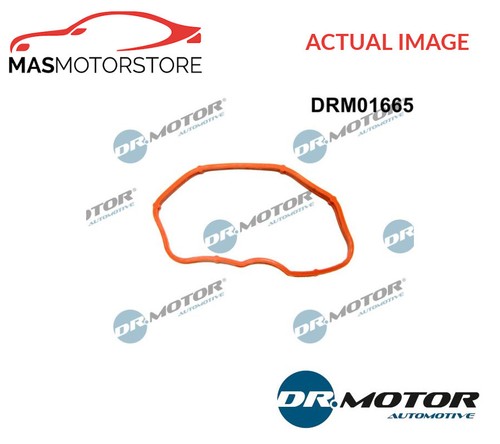 Intake manifold gasket - gasket, lower